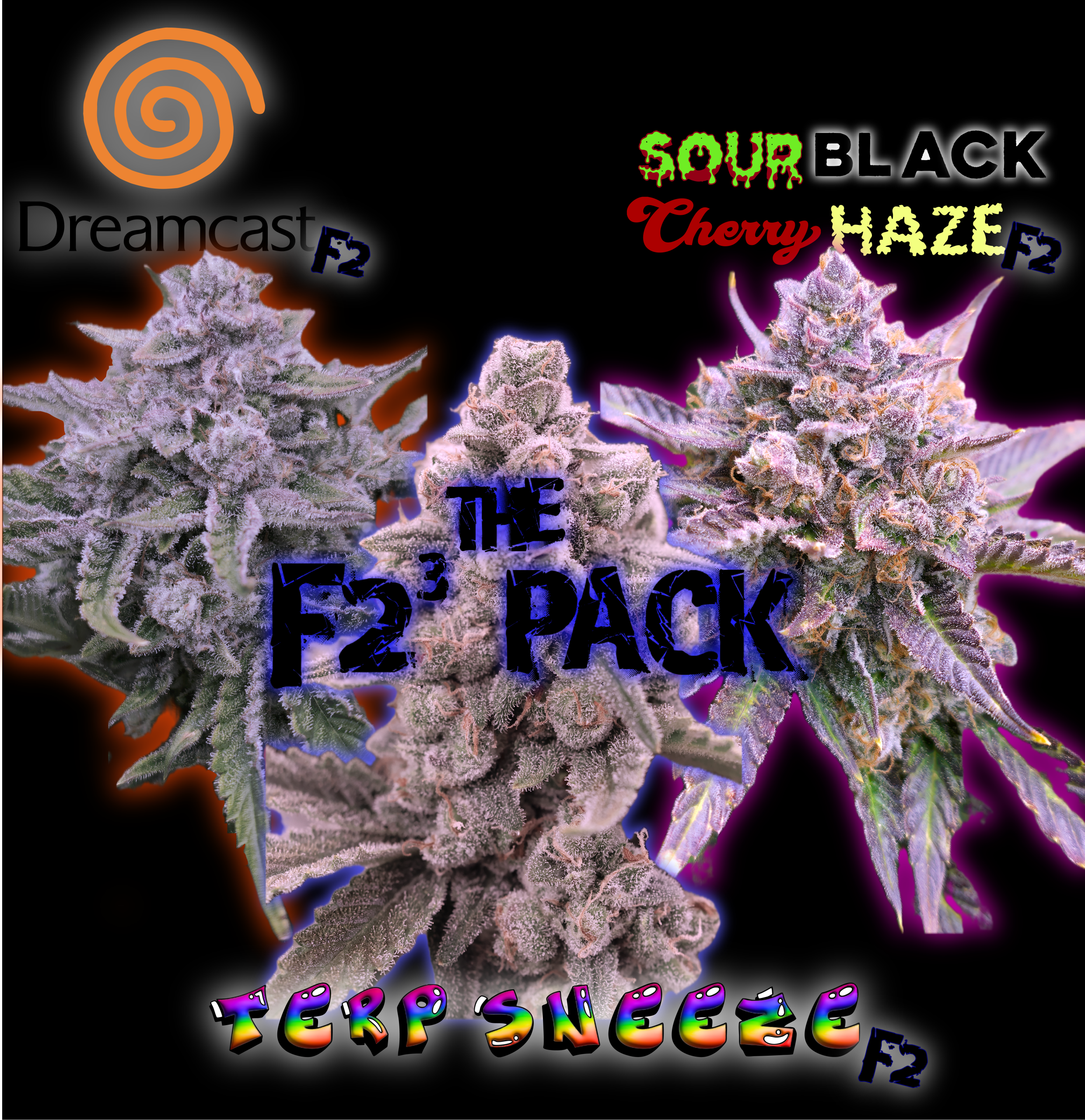 GANJA COME AROUND/RMX.COLLIBUDZ 激レア入手超困難 The F2 Cubed Pack - Speedrun Seeds